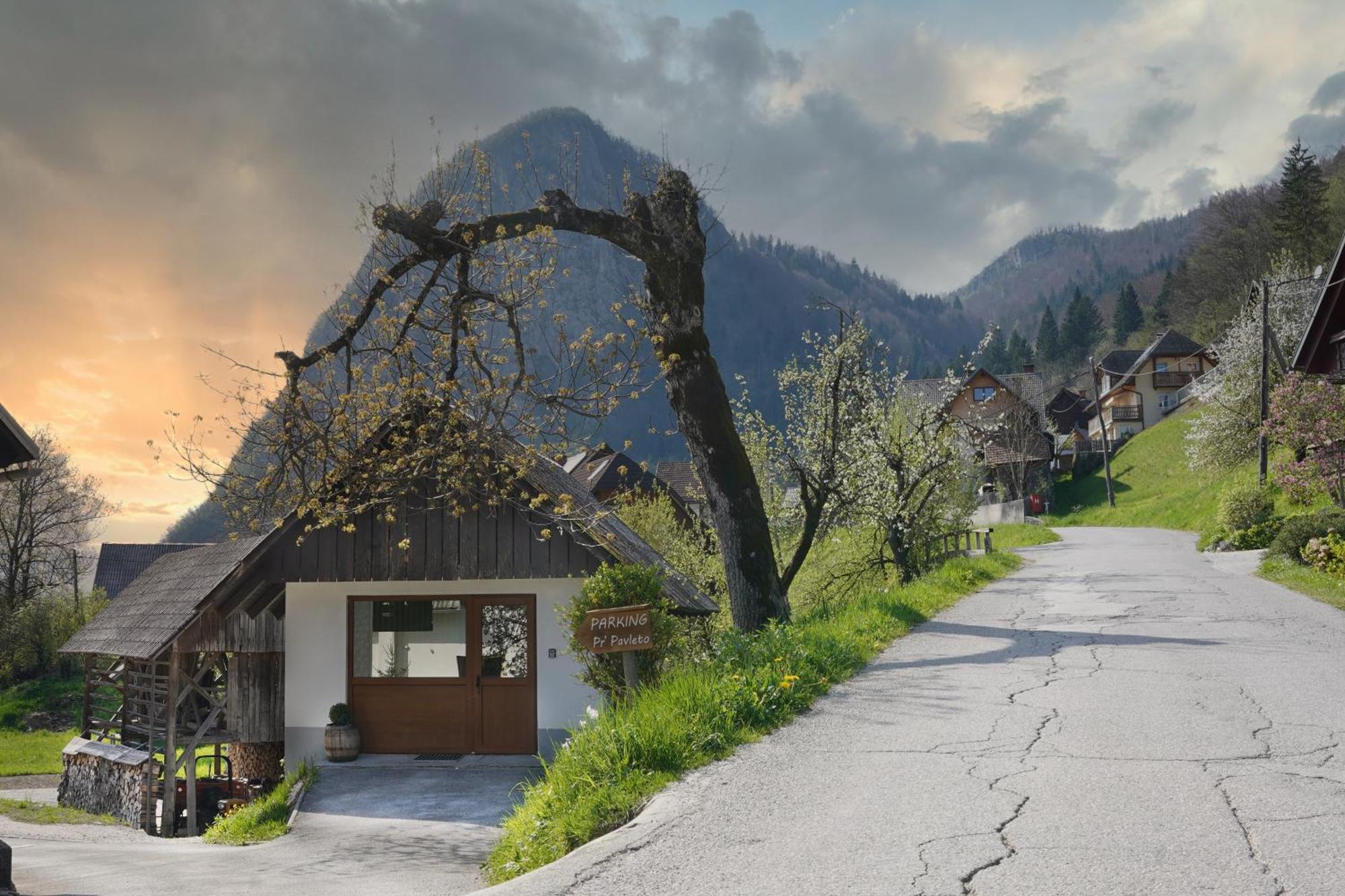 Apartments Pr' Pavleto Bohinj Dış mekan fotoğraf