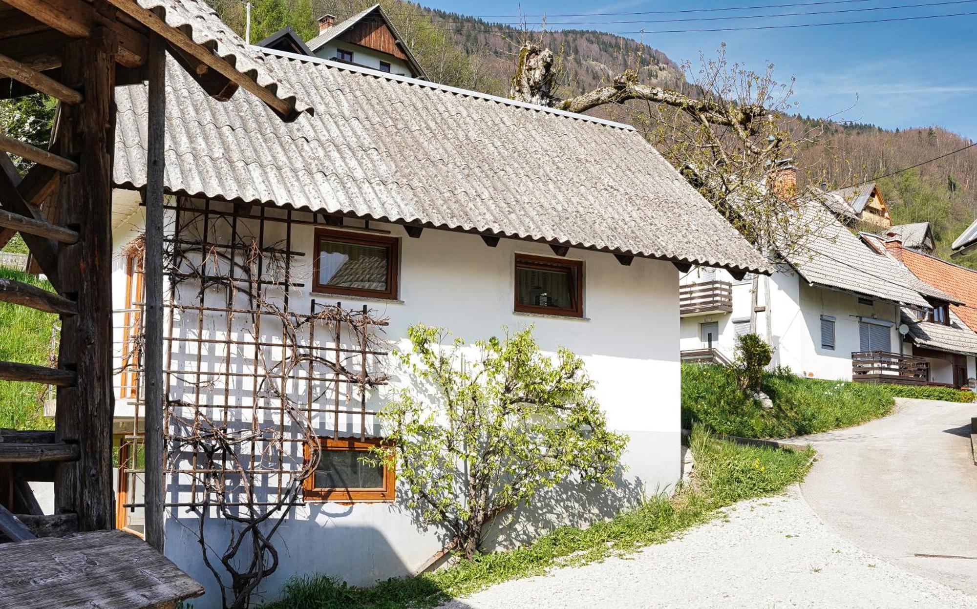 Apartments Pr' Pavleto Bohinj Dış mekan fotoğraf